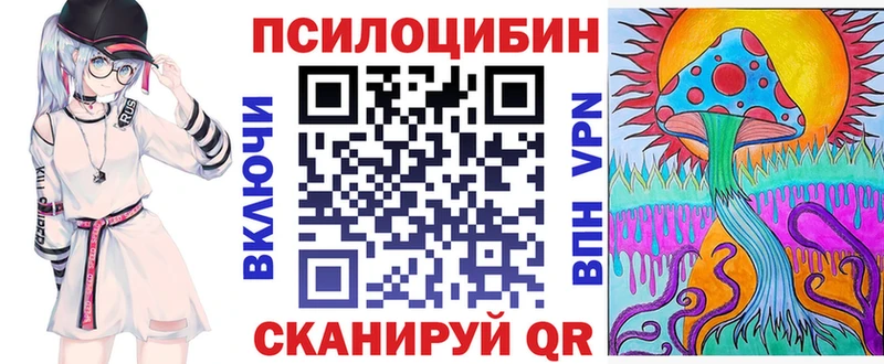 Галлюциногенные грибы Psilocybine cubensis  Гудермес 