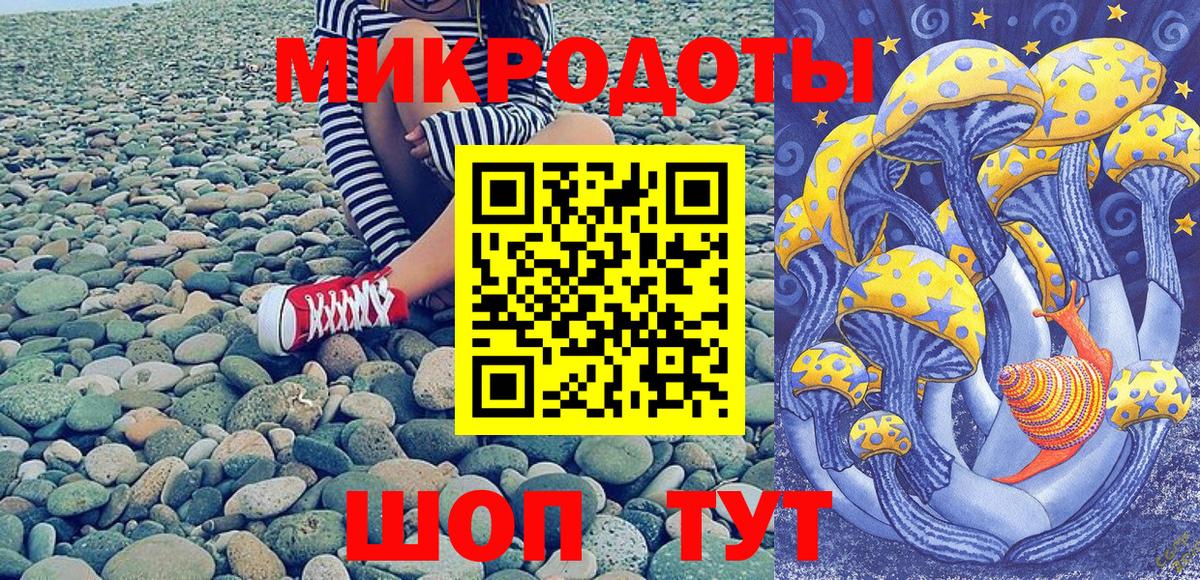 Галлюциногенные грибы ЛСД Гудермес