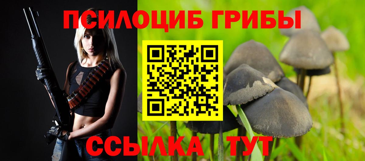 Галлюциногенные грибы MAGIC MUSHROOMS  магазин продажи   Галлюциногенные грибы MAGIC MUSHROOMS  Гудермес  Вход с VPN 